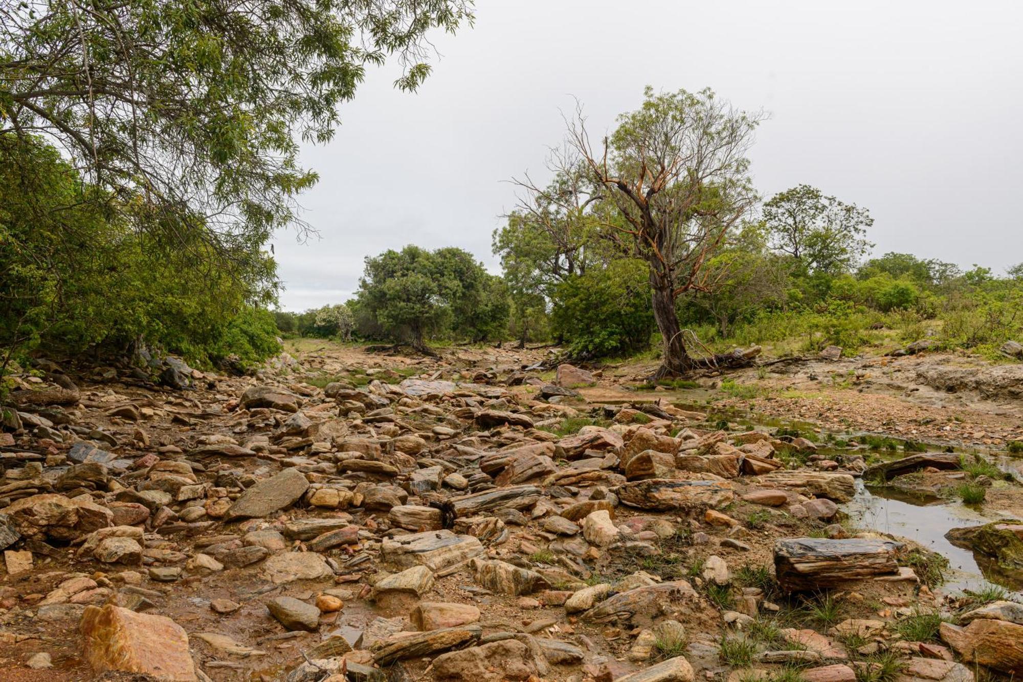 Fazenda Poco Das Pedras Sao Joao do Cariri Exterior foto
